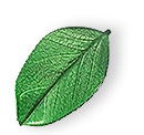 https://bestcleanersflorida.com/wp-content/uploads/2025/07/floating_leaf_01.png