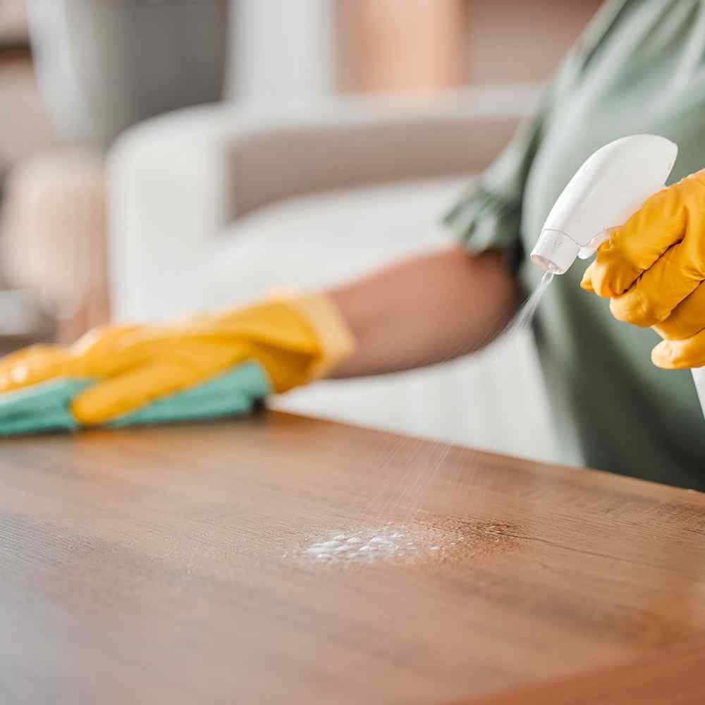 https://bestcleanersflorida.com/wp-content/uploads/2025/07/image_service_01.jpg