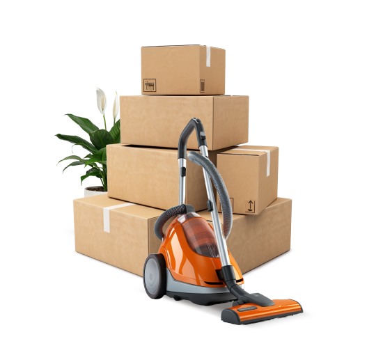 services_image_02 https://bestcleanersflorida.com/wp-content/uploads/2025/07/services_image_02.png