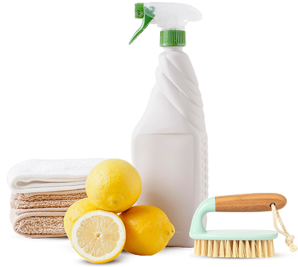 https://bestcleanersflorida.com/wp-content/uploads/2025/08/shop_image.png